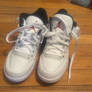 Jordan Flight III