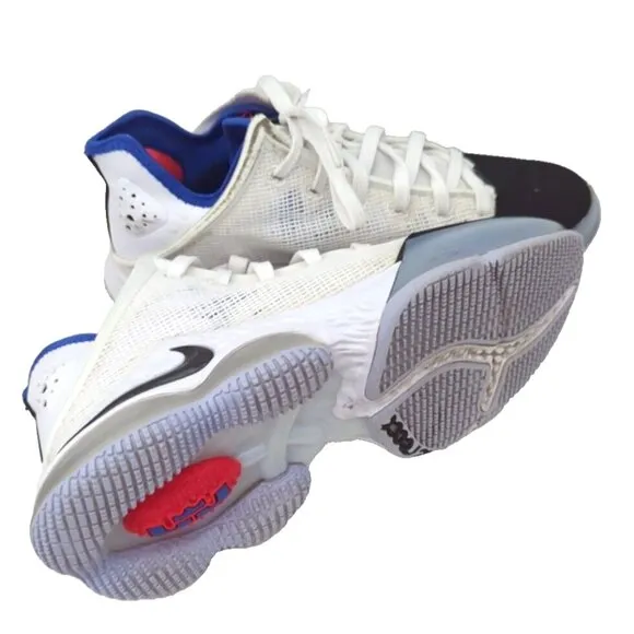 Nike LeBron 19 Low Concord Black Toe Mens Size 7 DH1270-100