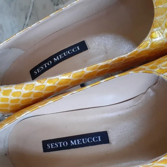 Sesto Meucci shoes