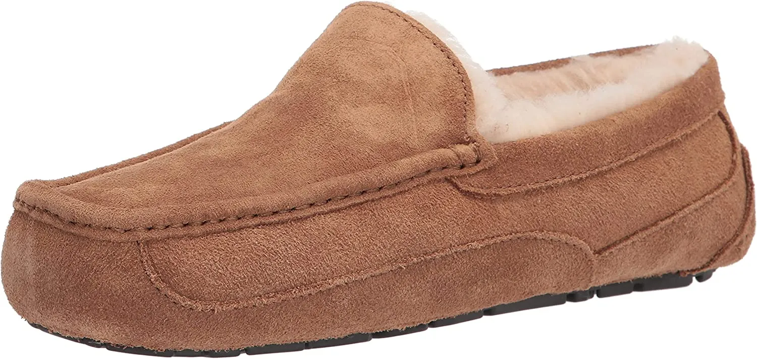 UGG MEN ASCOT MEDIUM