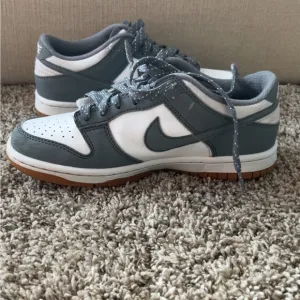 Youth Nike Dunks